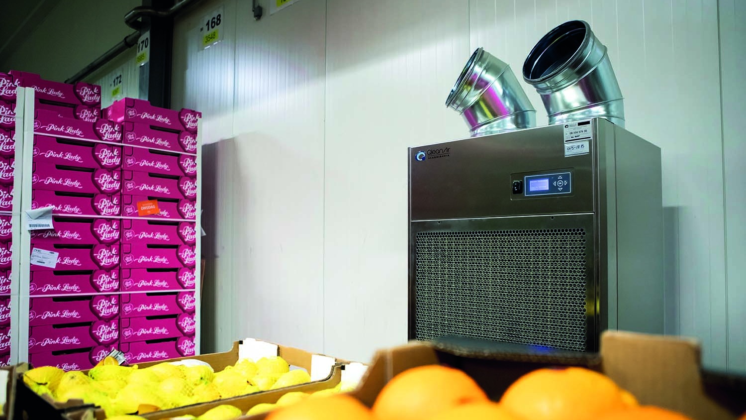facility-solutions-food-chain-lidl-sverige-warehouse-fruit-close-up-1x-qleanair-fs70-right-view-low-res Cropped facility-solutions-food-chain-lidl-sverige-warehouse-fruit-close-up-1x-qleanair-fs70-right-view-low-res Cropped